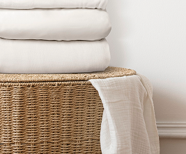 التخزين والتنظيم